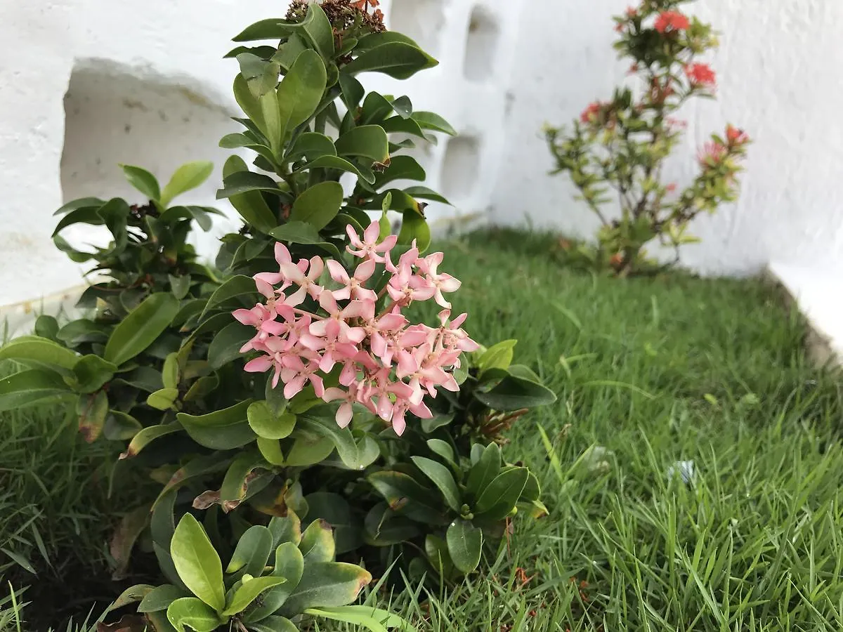 Hotel Villas San Ignacio 普拉亚卡门